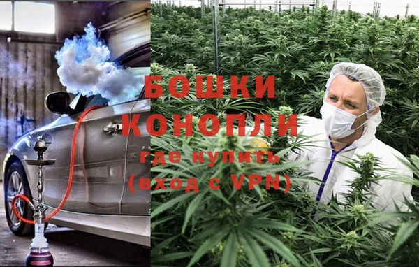 сатива Балабаново