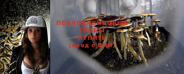 сатива Балабаново